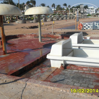 фото из отзыва ID 902162