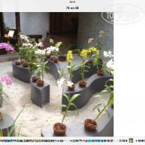 фото из отзыва ID 902188