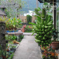 фото из отзыва ID 902193