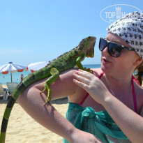 фото из отзыва ID 902223