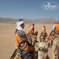 фото из отзыва ID 902389