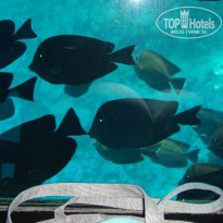 фото из отзыва ID 902389