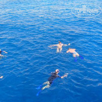 фото из отзыва ID 902389