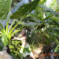 фото из отзыва ID 902529