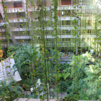 фото из отзыва ID 902594