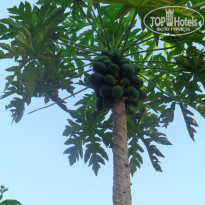 фото из отзыва ID 902674