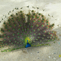 фото из отзыва ID 902711