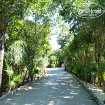 фото из отзыва ID 902941