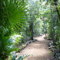 фото из отзыва ID 902941