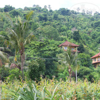 фото из отзыва ID 902555