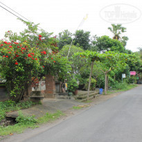 фото из отзыва ID 902555