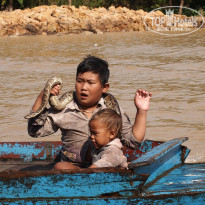 фото из отзыва ID 902823