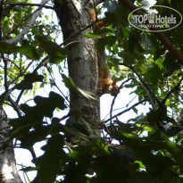 фото из отзыва ID 90300