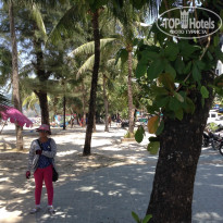 фото из отзыва ID 903044