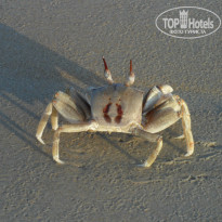 фото из отзыва ID 903112