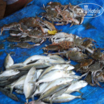 фото из отзыва ID 903112