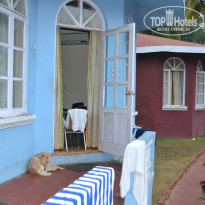 фото из отзыва ID 903112