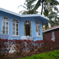 фото из отзыва ID 903112