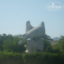 фото из отзыва ID 903240