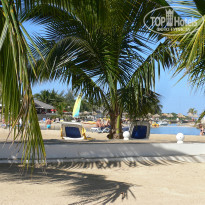 фото из отзыва ID 903270