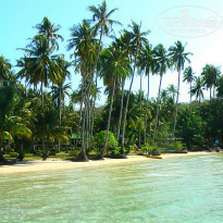 фото из отзыва ID 903299