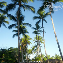 фото из отзыва ID 903310