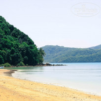 фото из отзыва ID 903190