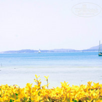 фото из отзыва ID 903190