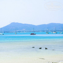 фото из отзыва ID 903190