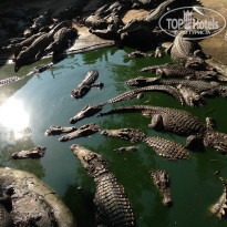 фото из отзыва ID 903386