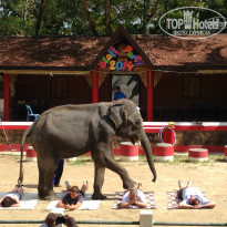 фото из отзыва ID 903386