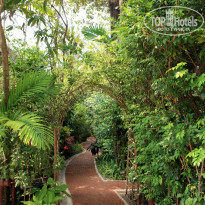 фото из отзыва ID 903423