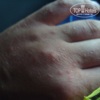 фото из отзыва ID 903617