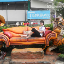 фото из отзыва ID 903622