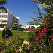 фото из отзыва ID 903688