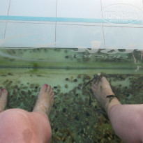 фото из отзыва ID 903748