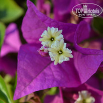 фото из отзыва ID 903782