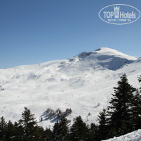 фото из отзыва ID 903751