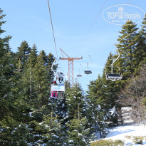 фото из отзыва ID 903751