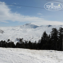 фото из отзыва ID 903751