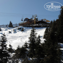 фото из отзыва ID 903751