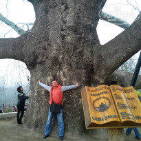 фото из отзыва ID 903751