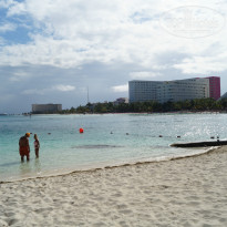 фото из отзыва ID 903810