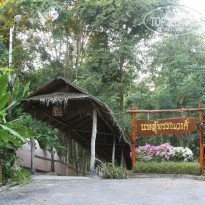 фото из отзыва ID 903855