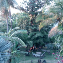 фото из отзыва ID 903957