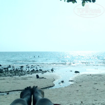 фото из отзыва ID 903957