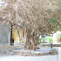 фото из отзыва ID 903987