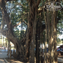 фото из отзыва ID 903405