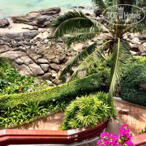 фото из отзыва ID 903379