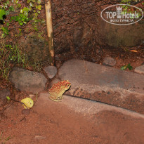 фото из отзыва ID 903752